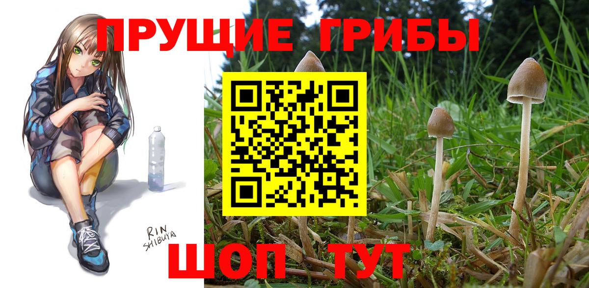 Асбест  что такое   Вход с VPN  Псилоцибиновые грибы Psilocybine cubensis 