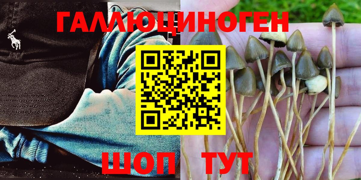 Галлюциногенные грибы Magic Shrooms Асбест